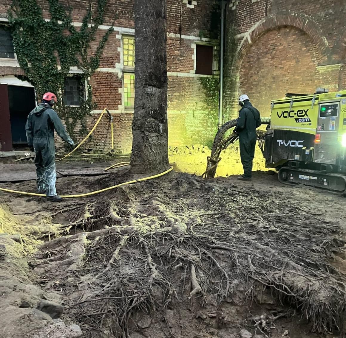 Operators van Tornado Rent zuigen boomwortels vrij met een VAC-EX grondzuiger